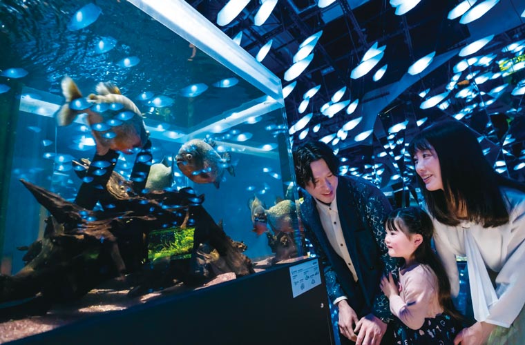 AQUARIUM × ART átoa