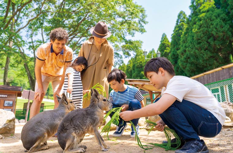 神崎農村公園 ヨーデルの森